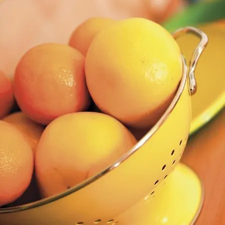 Les Citronniers